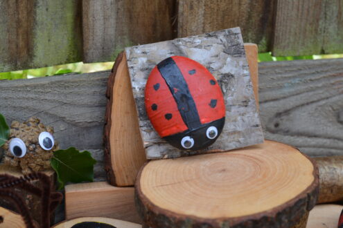 ladybird rock