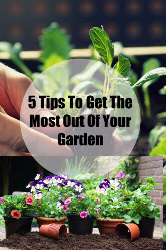 5 Tips To Get The Most Out Of Your Garden.