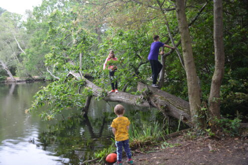 The lake at California Country Park