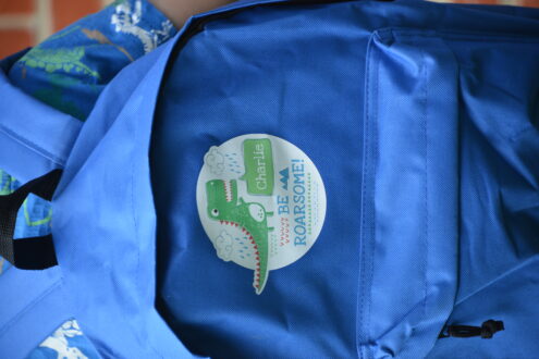 lovely personalised dinosaur backpack