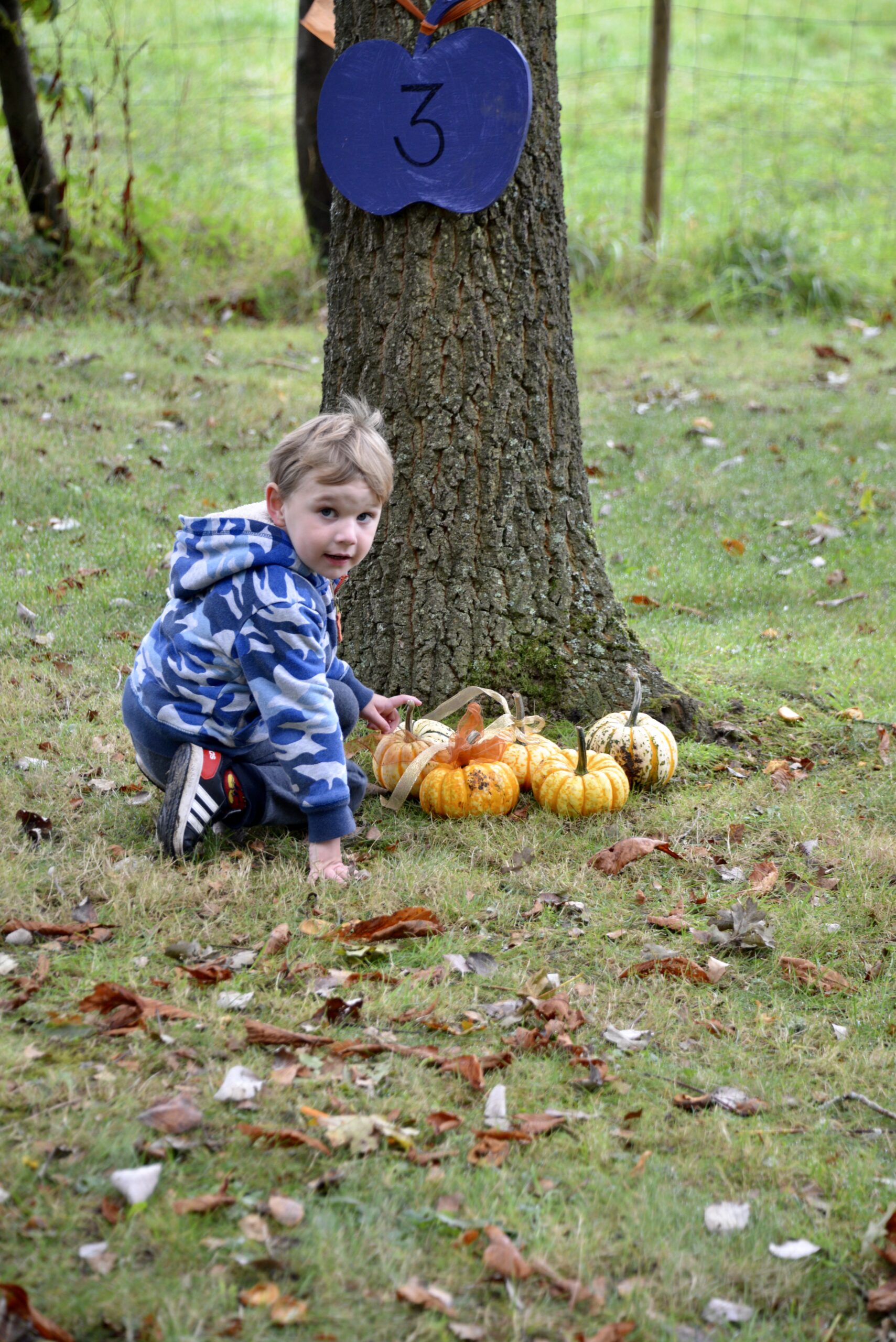 Apple weekend at West Green House