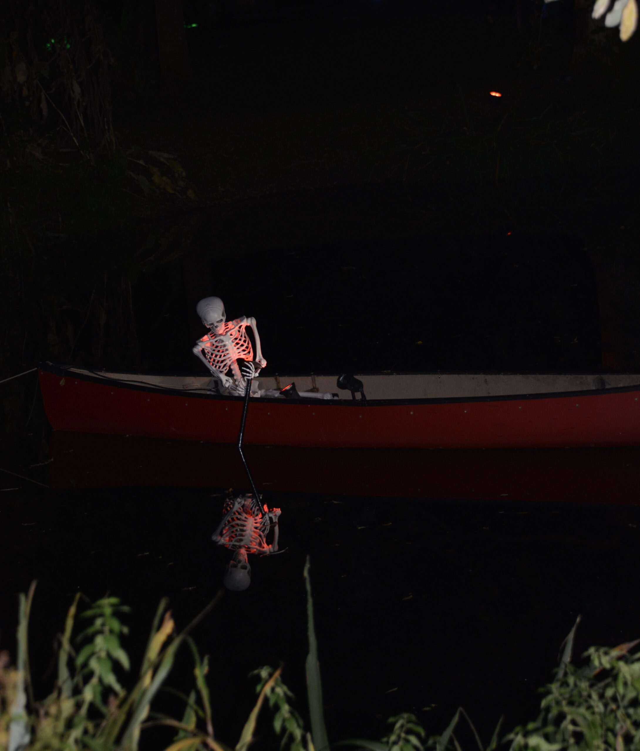 skeleton on the lake at West Green