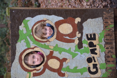 goApe image