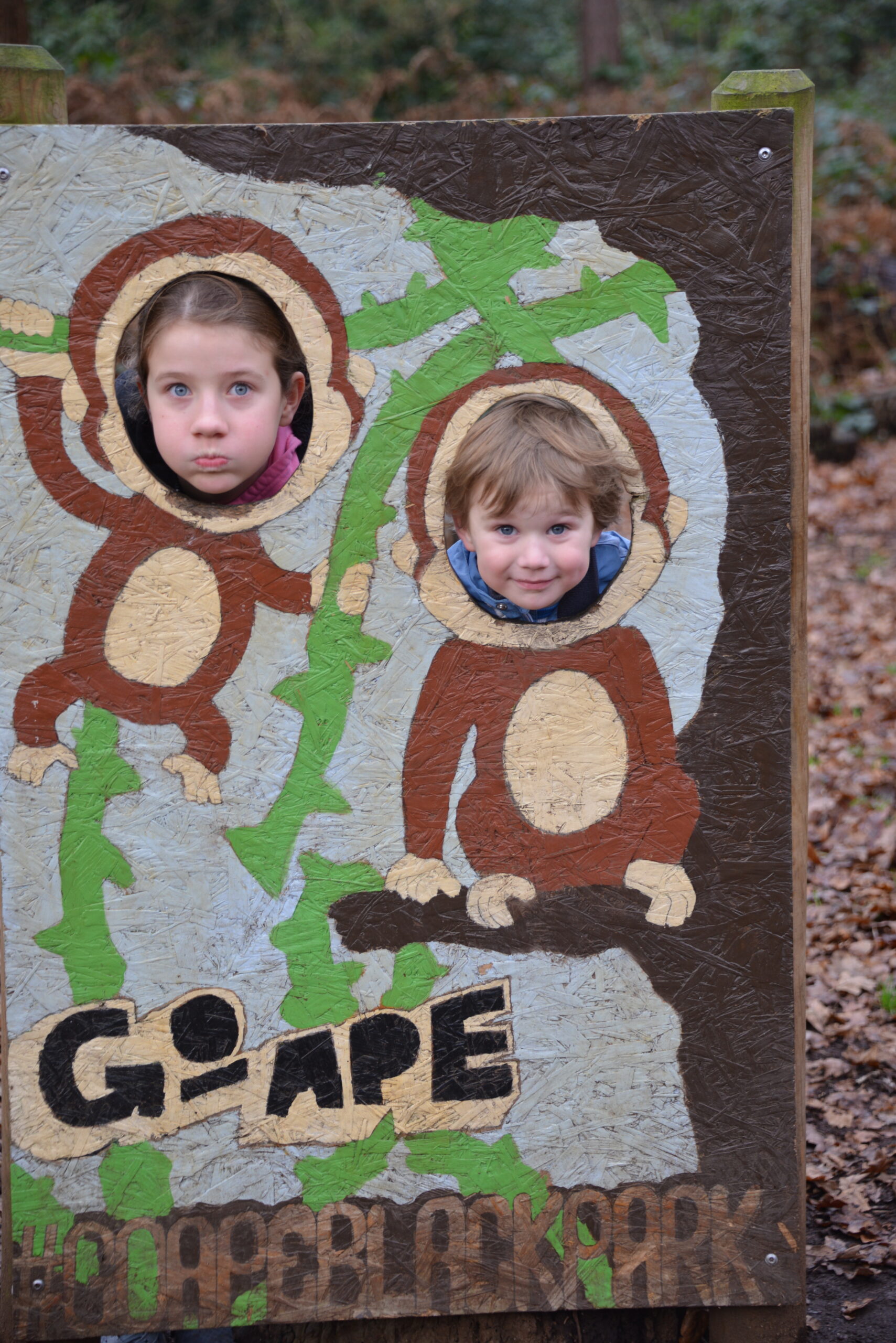 goApe image