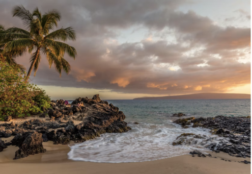 Hawaii beach