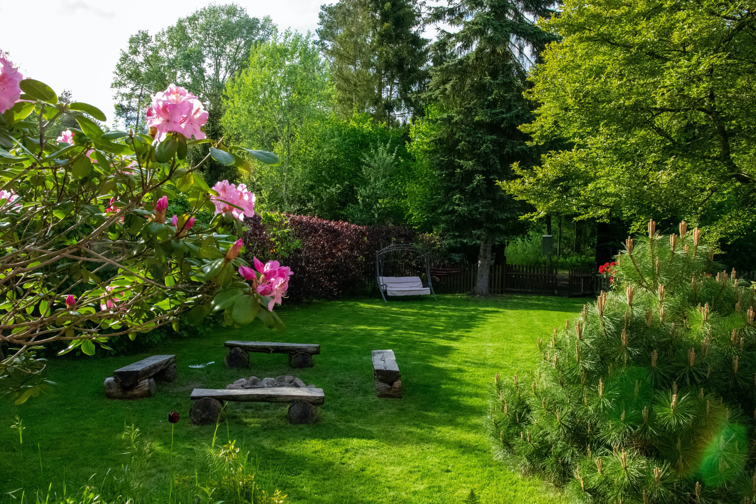 a luscious green garden with benches and simple garden furniture