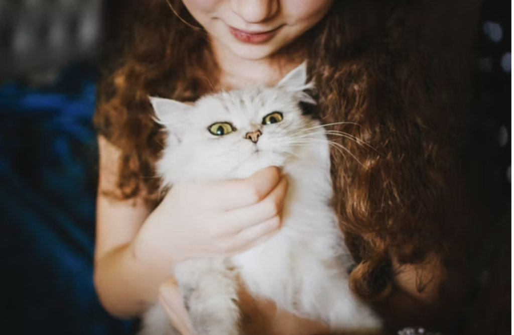 child holding a cat