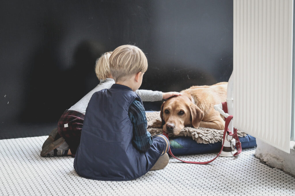 two children looking at a dog