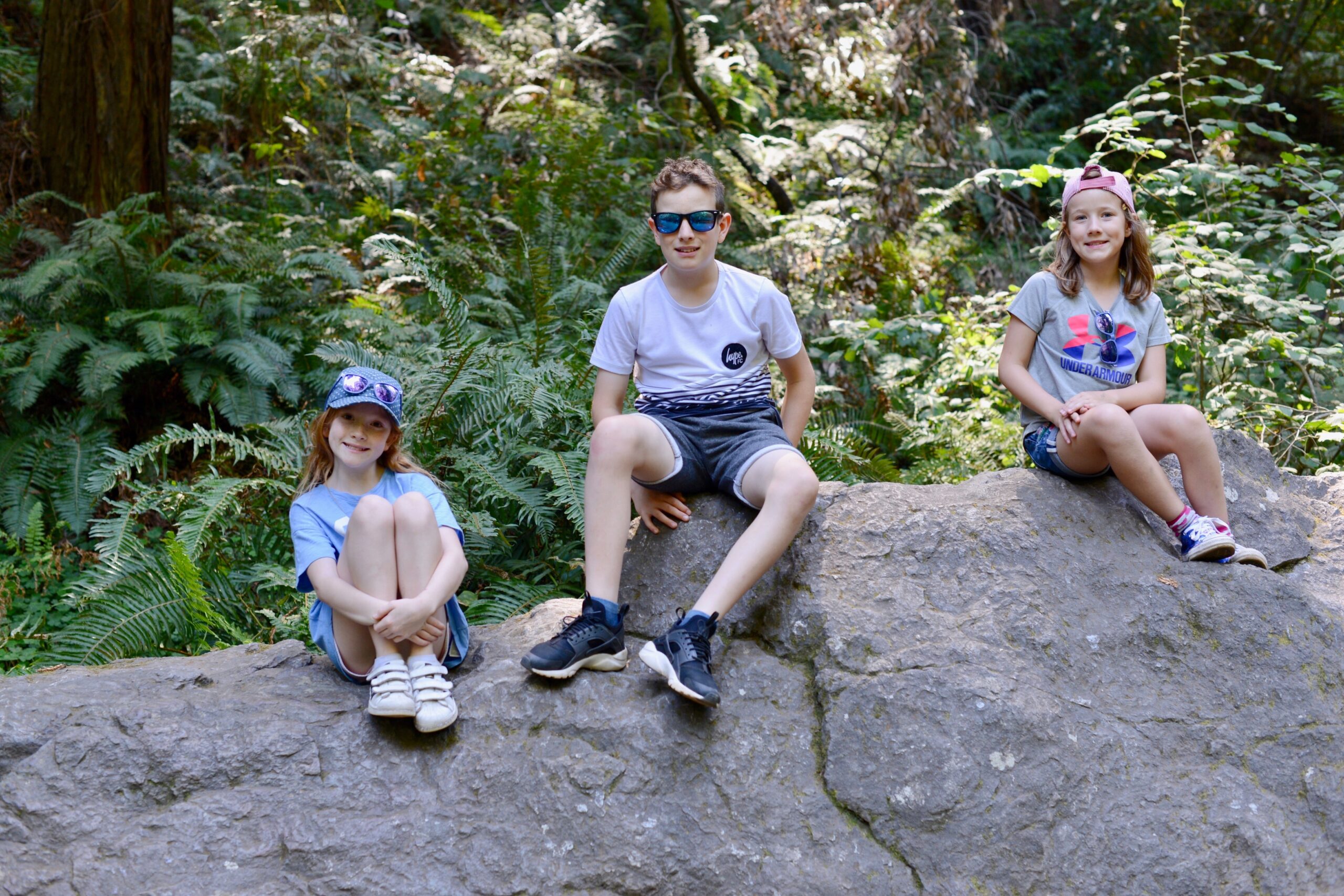 Children sat on a rock in Muir Woods