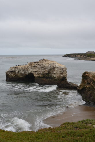 Natural Bridges State Beach California