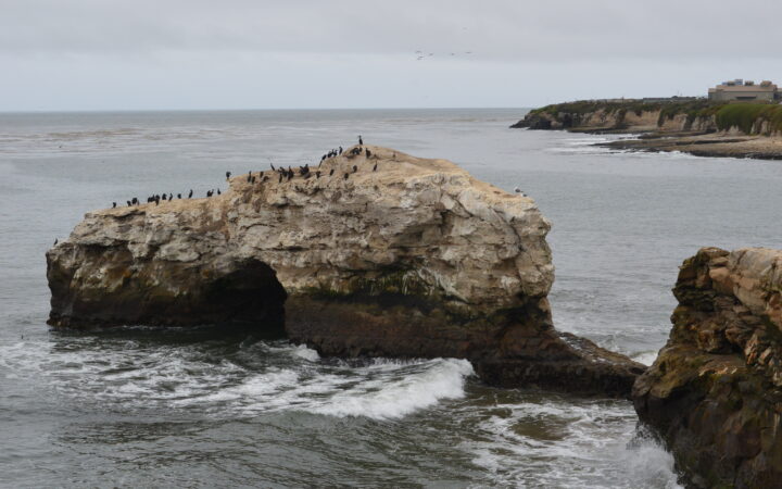 Natural Bridges State Beach California