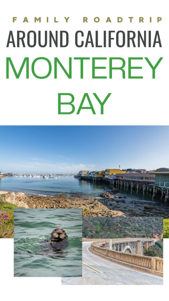Sea otter, pier and bixby bridge in Monterey