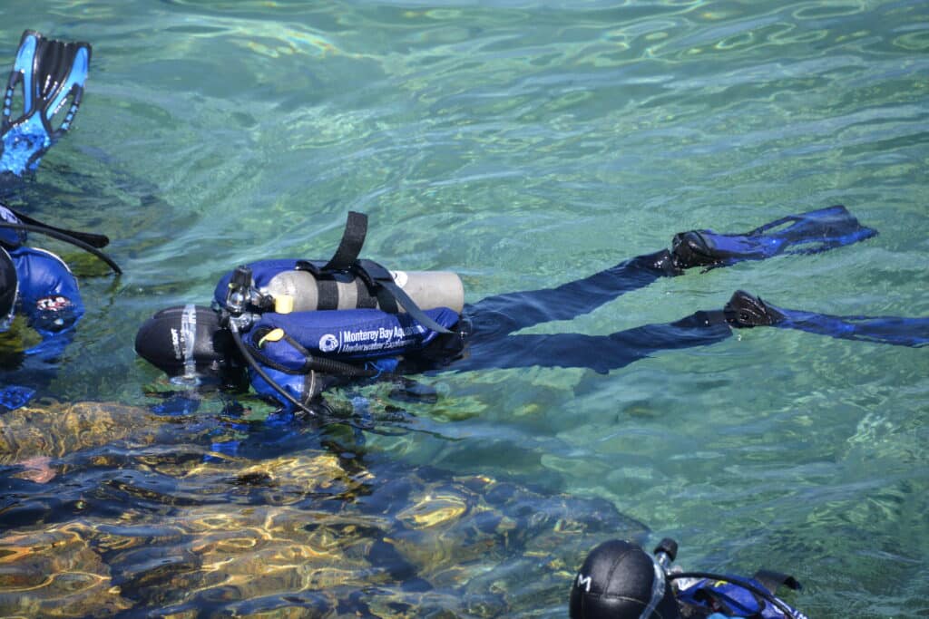 Scuba Diving at Monterey Bay Aquarium