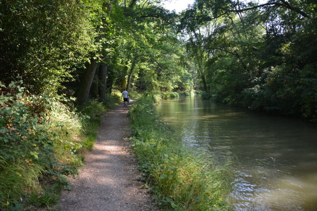 Basingstoke canal and towpath