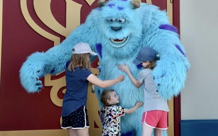 Meeting Sully in Disney World