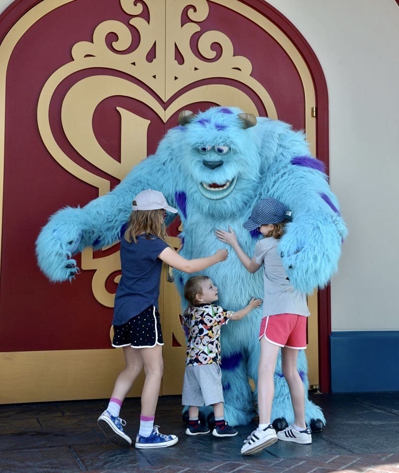 Meeting Sully in Disney World
