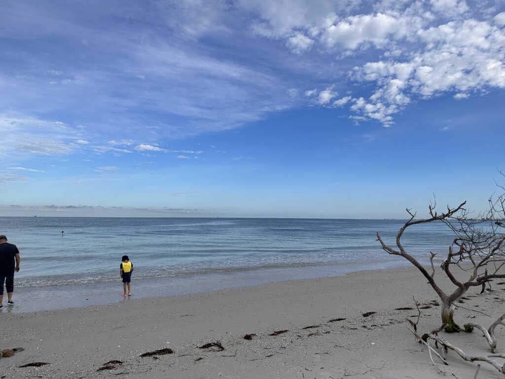 Beach at Shell Key, Florida