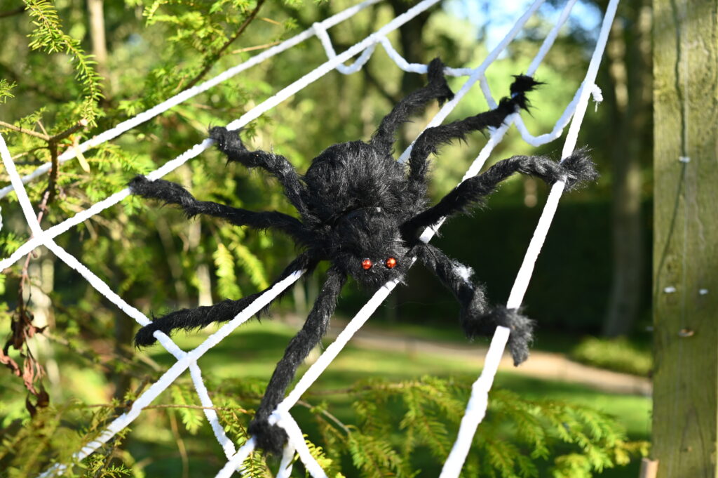 Halloween Spider at West Green