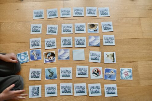 Puffin Rush card game