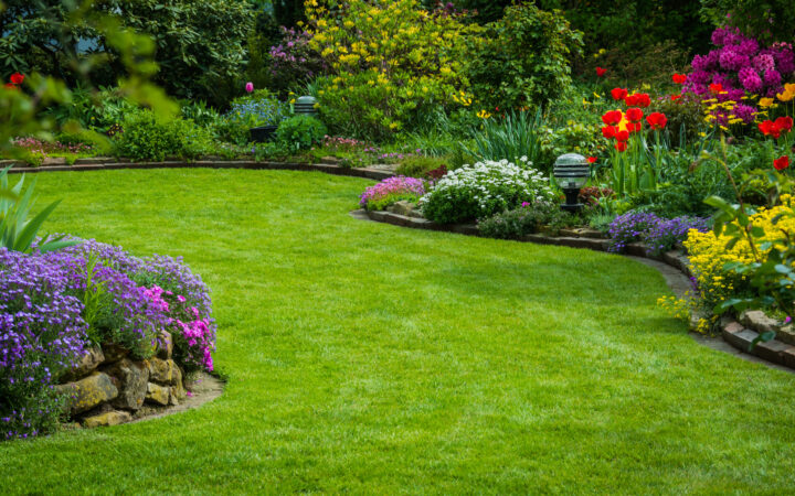 beautifully manicured garden lawn