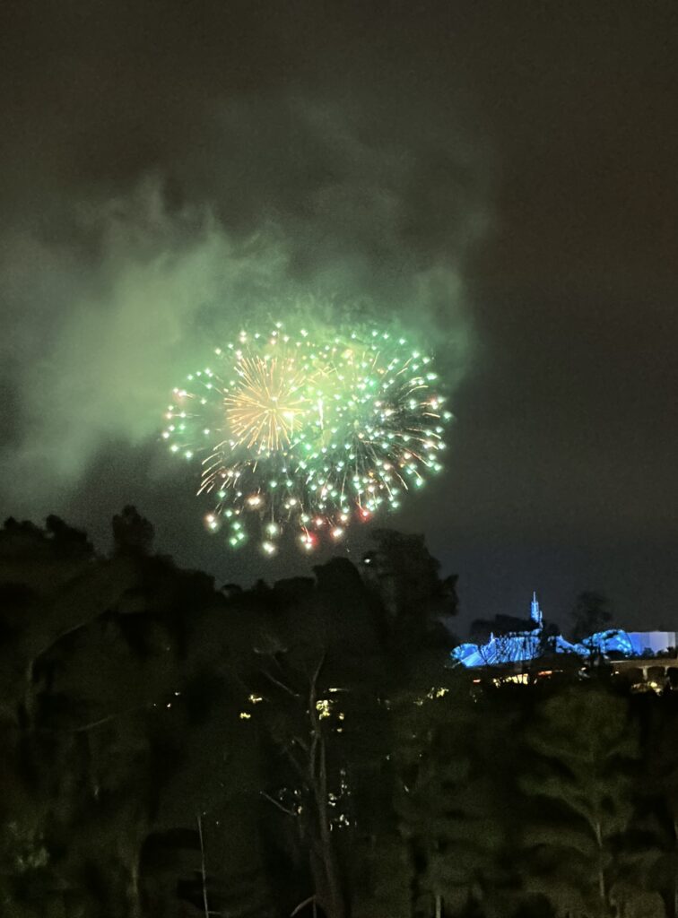 Magic Kingdom fireworks from Wilderness lodge