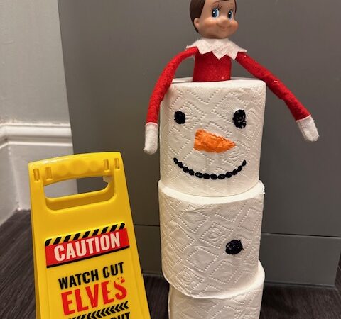 toilet roll elf
